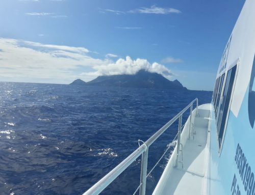 Public Transport in the Caribbean